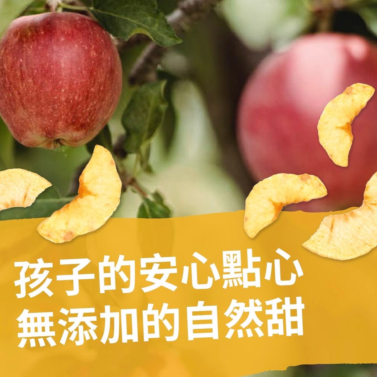 【Hoiis好集食】零添加綜合果乾超值包 (6包組，口味任選) 芒果/鳳梨/橘子/紅龍果/茂谷柑/蘋果/水梨_2