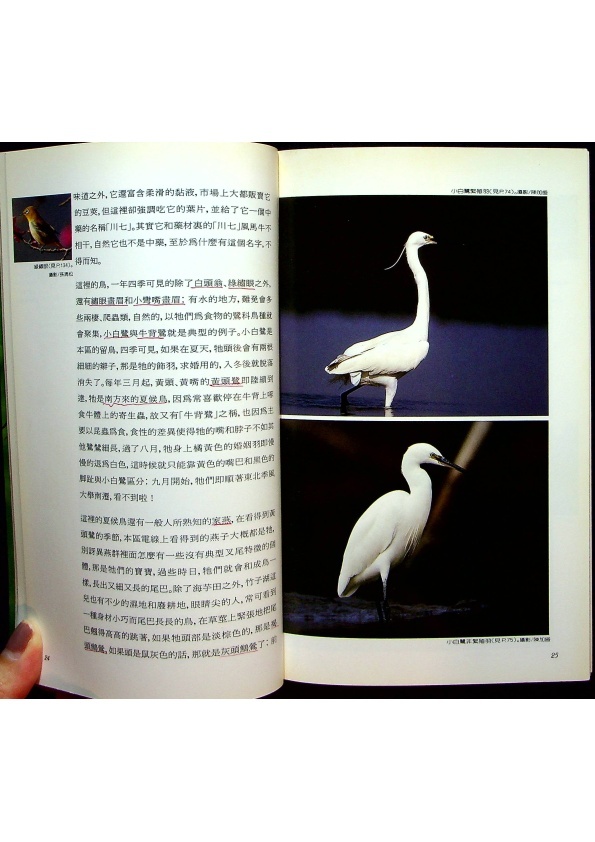 陽明山國家公園解說叢書４：賞鳥篇／沙謙中　編輯_1