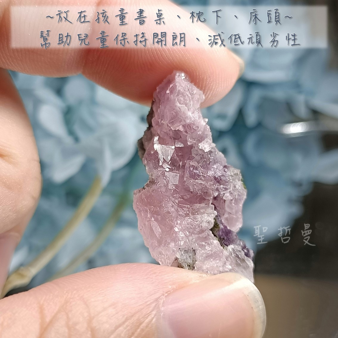 【土桑精選】頂級巴西天然粉晶簇1117-3 ~最佳的感情之石：夫妻和睦、孩童乖巧、情感療癒_4