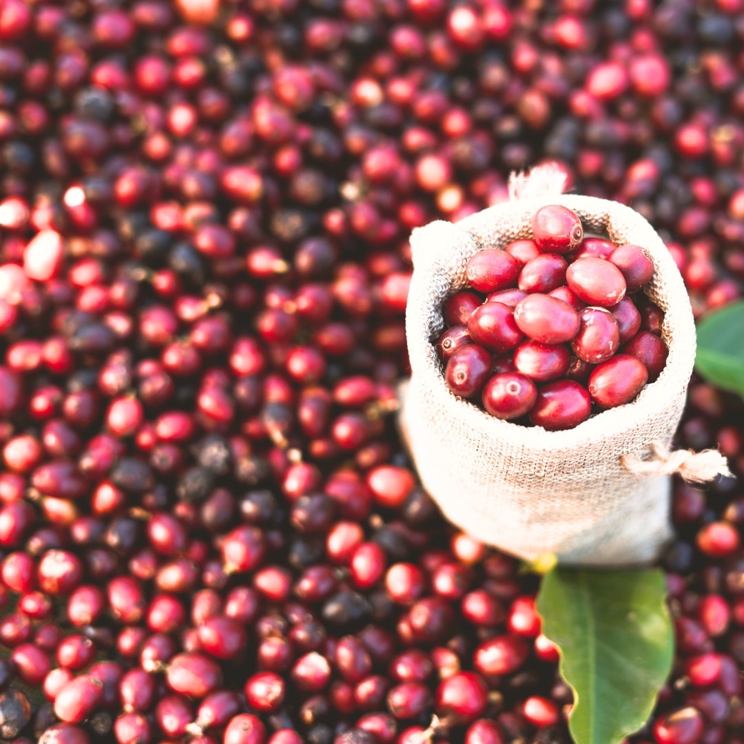 [廣宣] 分享寒冬咖啡 贈柏克斯咖啡