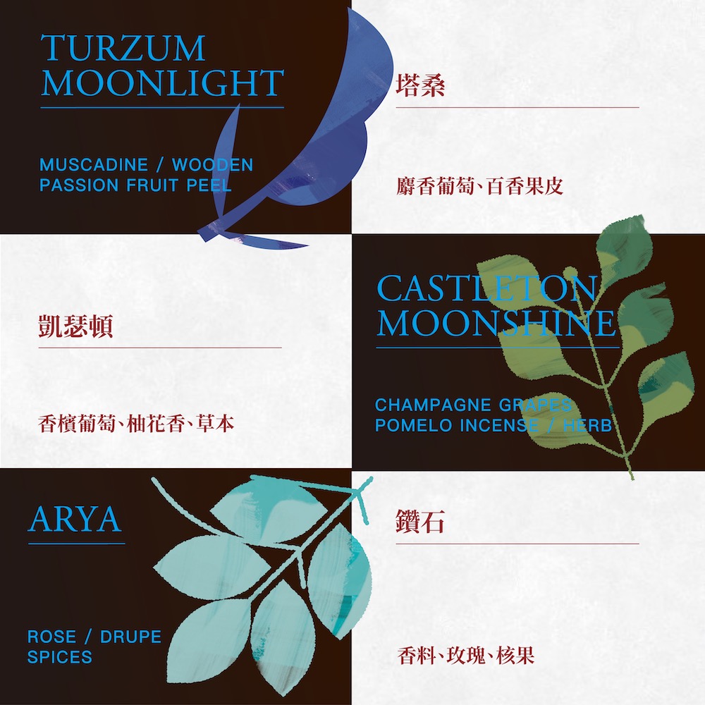 大吉嶺樂章Darjeeling Ensemble｜茶包9入｜禮盒｜莊園紅茶_3