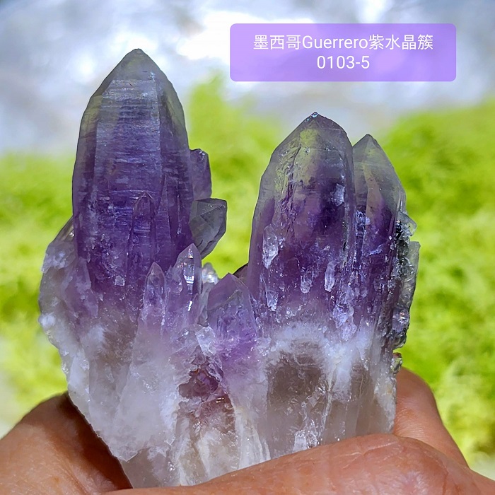 【土桑精品】格雷羅糖心紫水晶簇0103-5號 Guerrero Phantom Amethyst Mexico_0