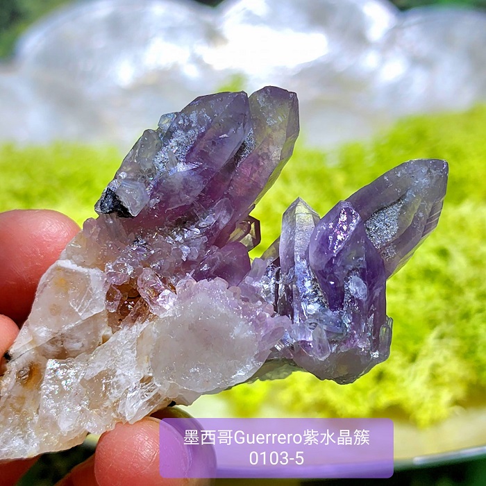 【土桑精品】格雷羅糖心紫水晶簇0103-5號 Guerrero Phantom Amethyst Mexico_1