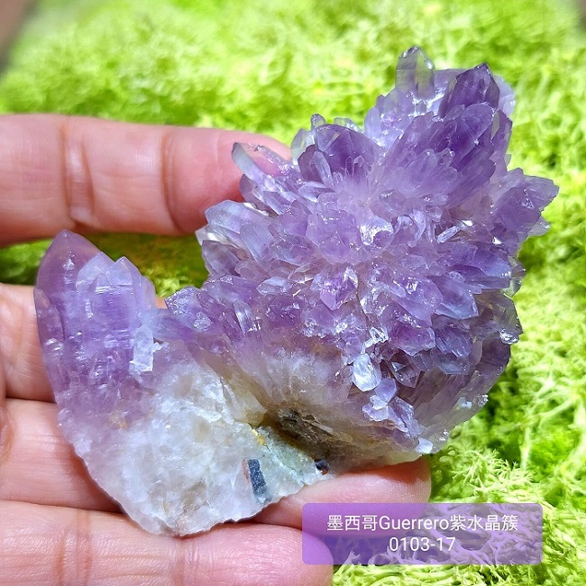 土桑精品】格雷羅糖心紫水晶簇0103-17號Guerrero Phantom