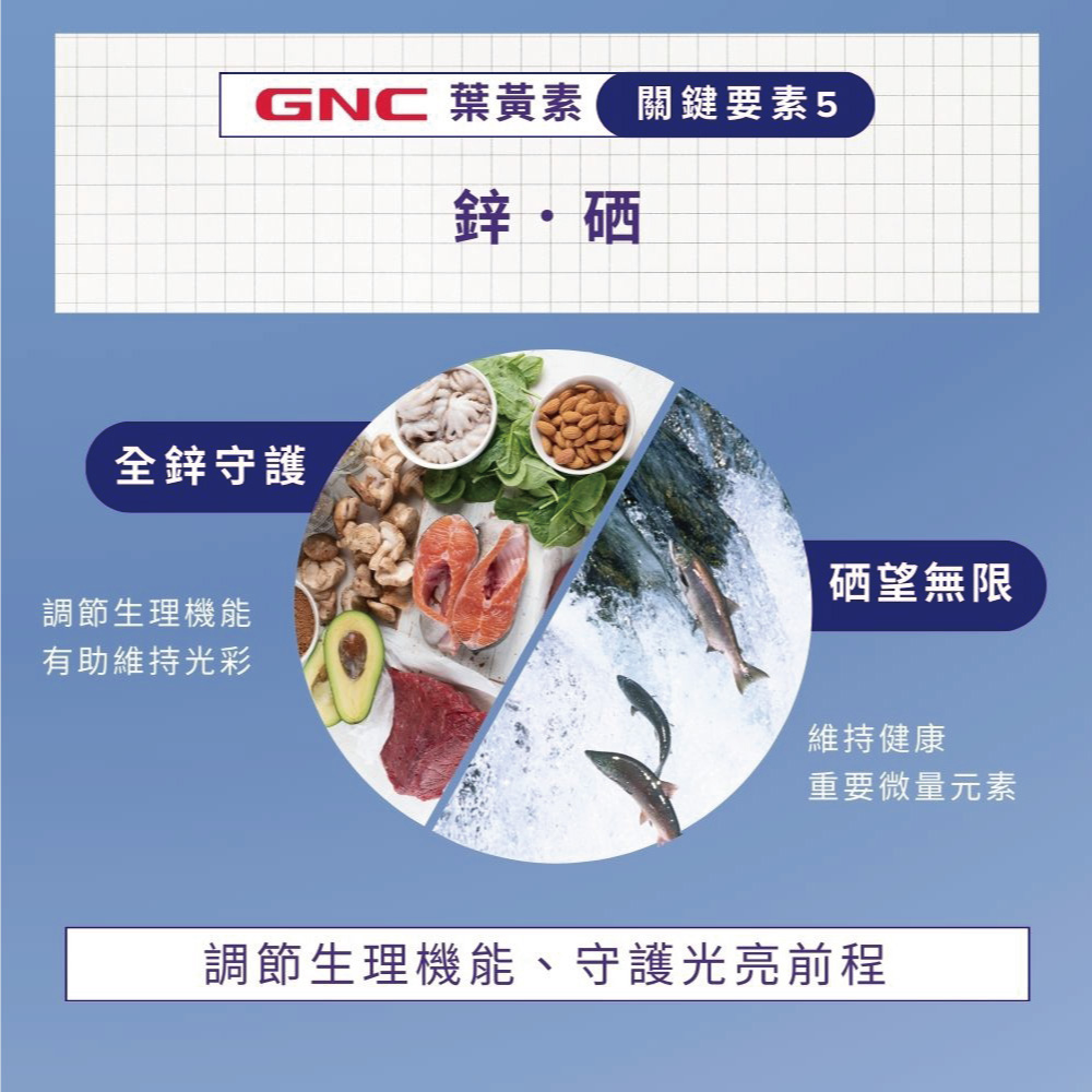 葉黃素複方膠囊｜GNC Lutein Formula_8