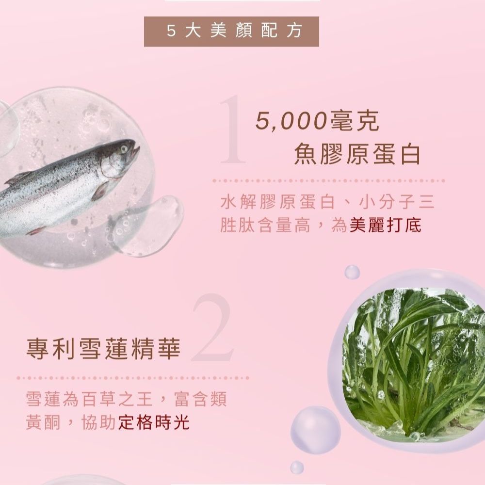 頂規5000毫克x500Da超微小分子 極緻膠原蛋白飲 即期品 (商品效期 2025/9/30)｜GNC Ultra Collagen_2