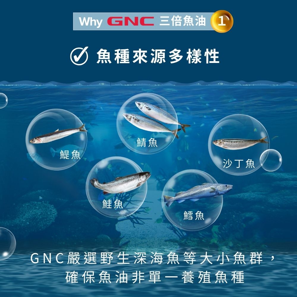 93%超高濃度 Omega-3 三倍魚油迷你軟膠囊(120粒/瓶)｜GNC Triple Strength Fish Oil Mini(120 Mini Softgels)_3