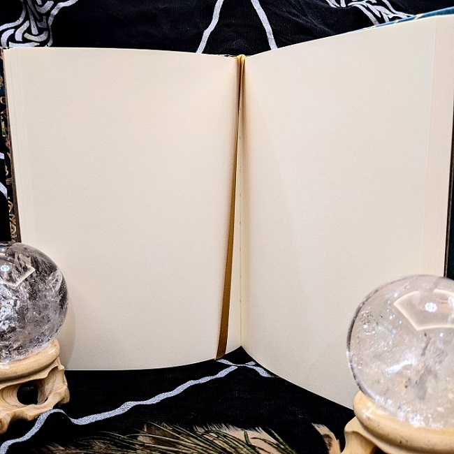 【自動書寫魔法手札】藝術家Lisa Parker授權的魔法手札 手帳本/記事本/筆記本_5