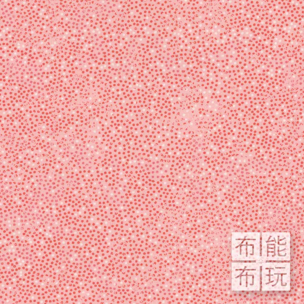 NORTHCOTT 美布 10451-21 (碼)_0