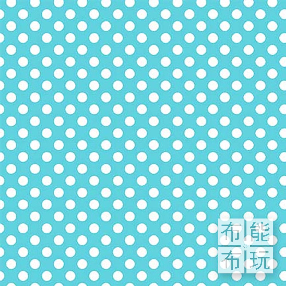 Michael Miller 美布 CX9217-AQUA-D (碼)_0