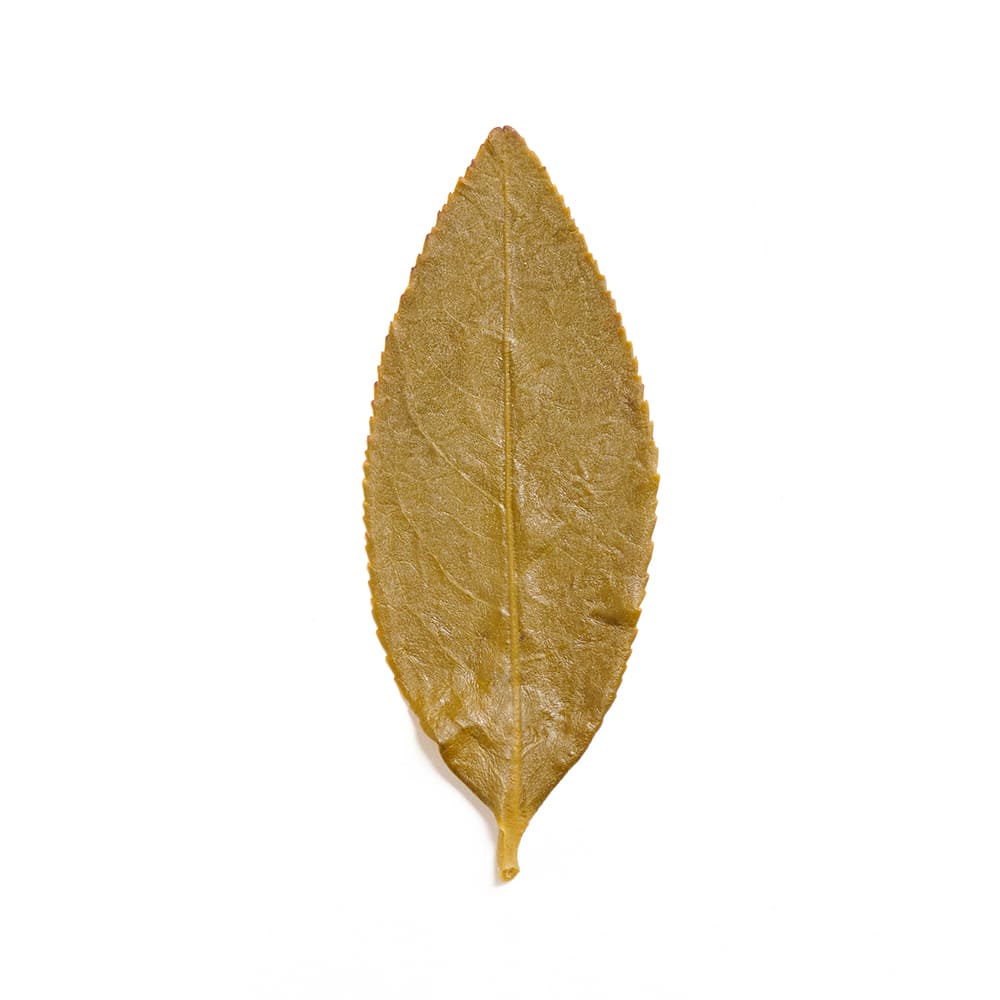 頂級茶王大禹嶺烏龍茶(原葉茶罐)羽曦堂 | 大禹嶺烏龍_5